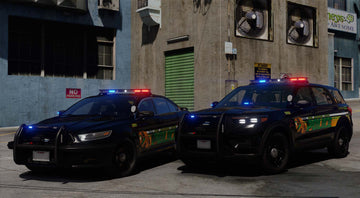 Liveries – Redneck Modifications LLC